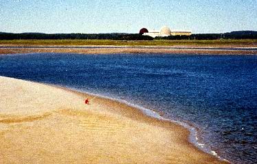 [ Seabrook ]