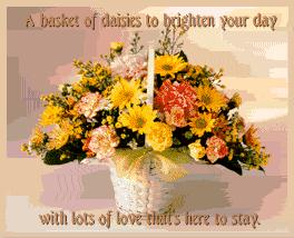 A Gift From Melissa