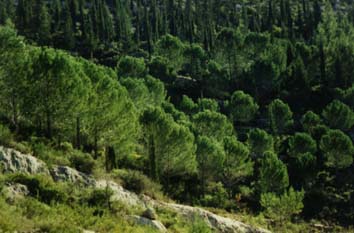 Har Eitan in the Jerusalem hills