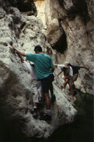 Mishmar