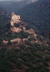 Monfort castle
