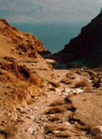 Nahal Tamarim