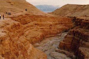 Nahal Tzofit