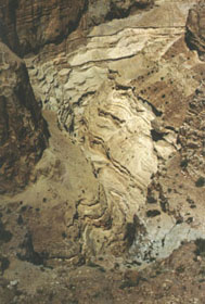 Tze'elim