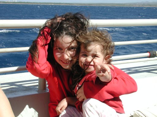 watching the humpback whales