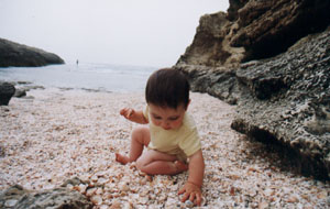 Shell Beach at Hof HaBonim
