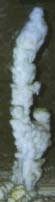 stalagmite