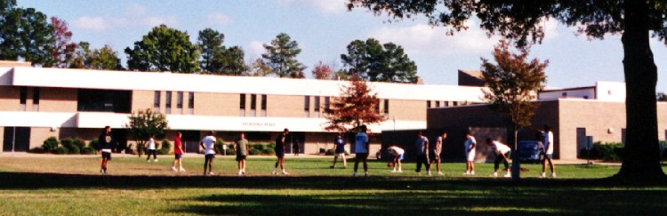 ball2.jpg (66158 bytes)