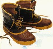 Wet Boots