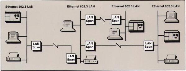 LAN Span Network Diagram #1
