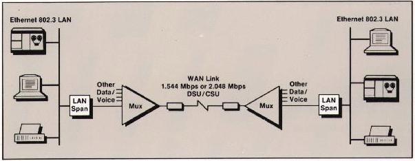LAN Span Network Diagram #3