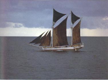 Burginees boat