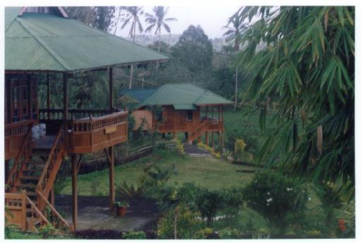 Click here to go to Guesthouse