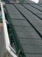 the guttering and the roof panels looking like some real shingles