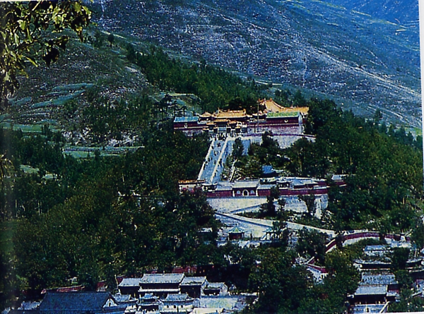 ���ĳ�����