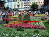 Festiwal kwiatow 2001.jpg (91561 byte)
