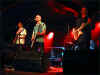 WishboneAsh 04.JPG (45086 byte)