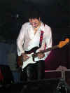 WishboneAsh 12.JPG (53364 byte)