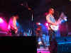 WishboneAsh 15.JPG (44156 byte)