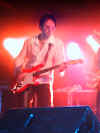 WishboneAsh 19.JPG (44761 byte)