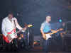 WishboneAsh 27.jpg (96518 byte)