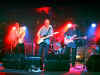 WishboneAsh 30.JPG (65440 byte)