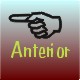 Pagina Inicial