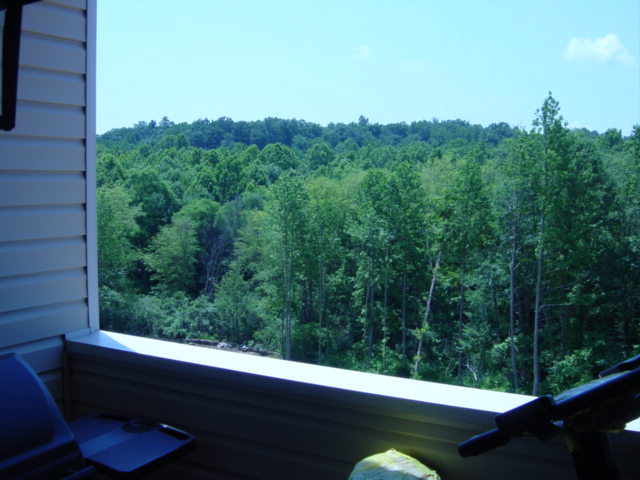 The view from out backporch