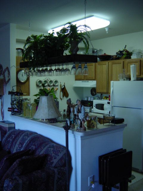 The kitchen with the wineglass rack that Allen made.