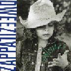 Dweezil Zappa - Confessions