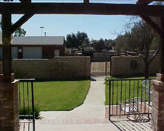 back yard