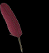 quill pen