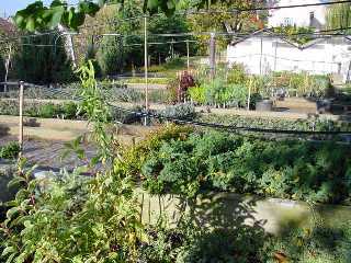 Feny�kert Nursery