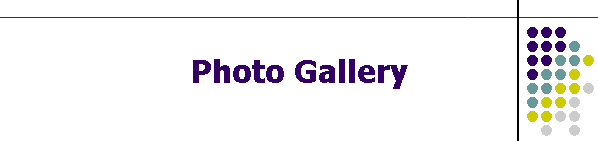 Photo Gallery