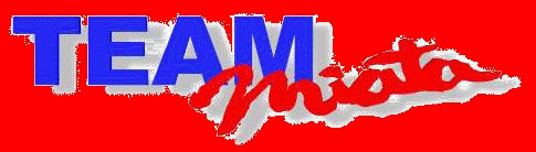 Team Mita