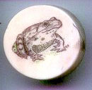 scrimshaw