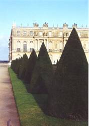 The formal gardens of Versaille, outside of Paris