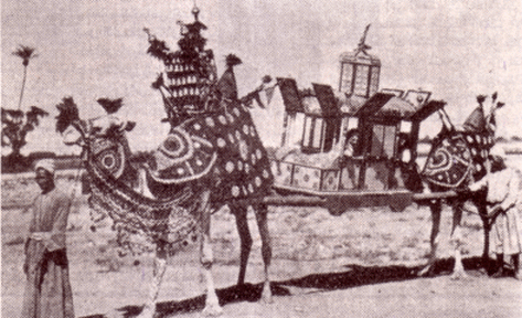 Camel-o-bile