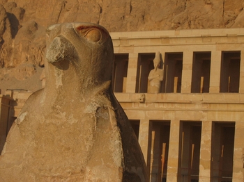 El-Deir El-Bahri Eagle