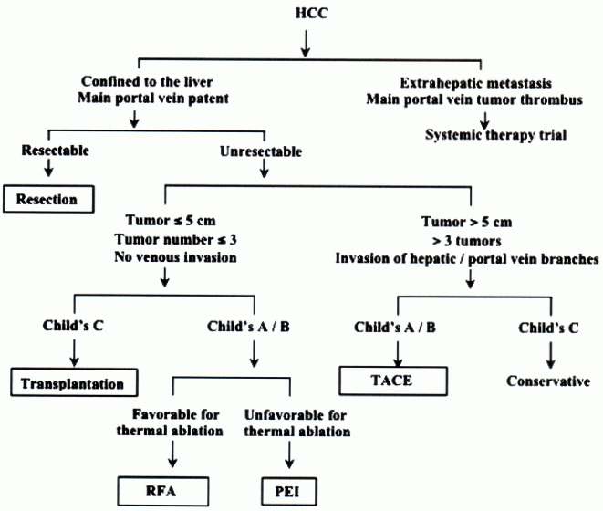 Hepatitis B Flow Chart