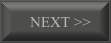 [Next &gt&gt]
