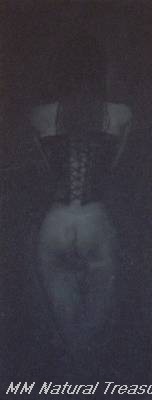 dw004.jpg