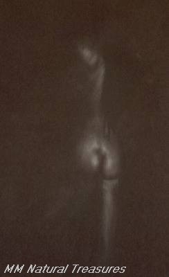 dw016.jpg