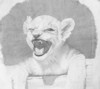 WC007.jpg