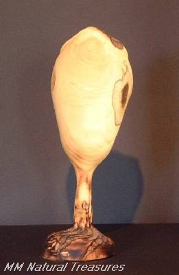 WD040.jpg