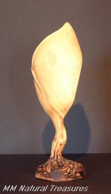 WD042.jpg