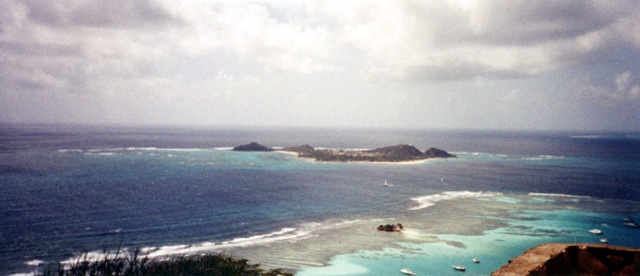 Palm Island