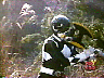 black1.jpg