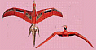firebird.jpg