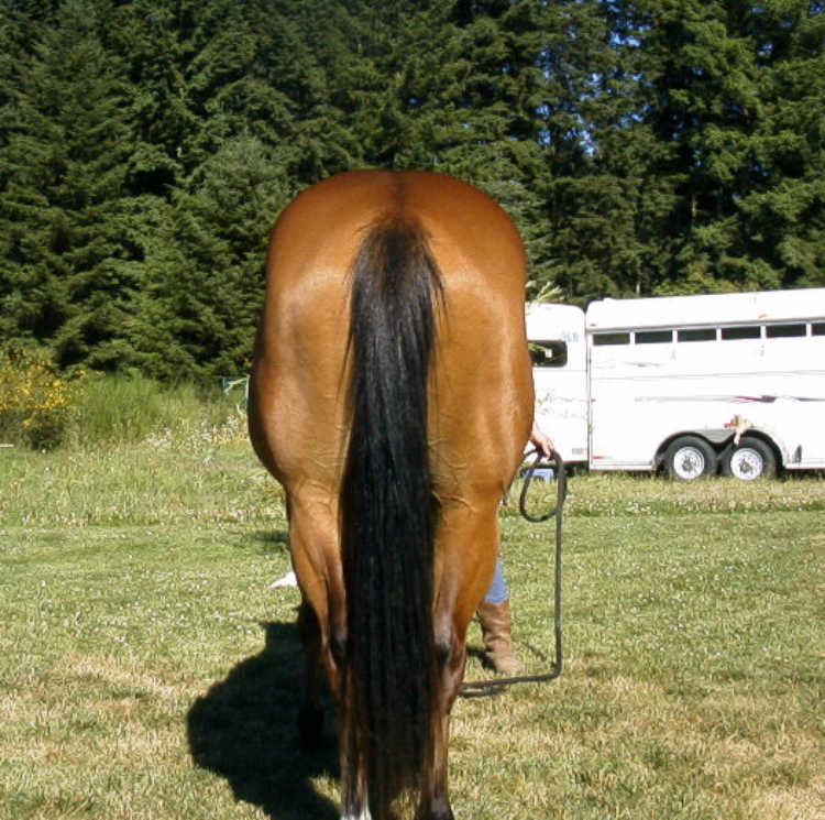 Click for lager image